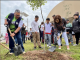 Megareforestación en el parque Rodolfo Landeros y otras actividades en las inmediaciones del Parque México ,este sábado